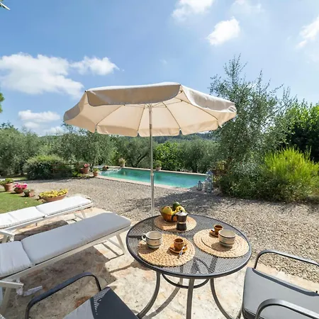Olivo By Interhome