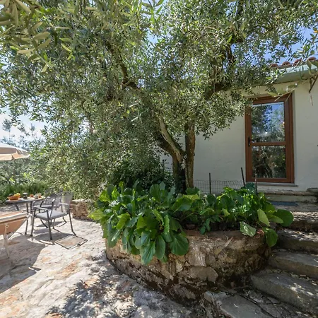 Olivo By Interhome בית נופש